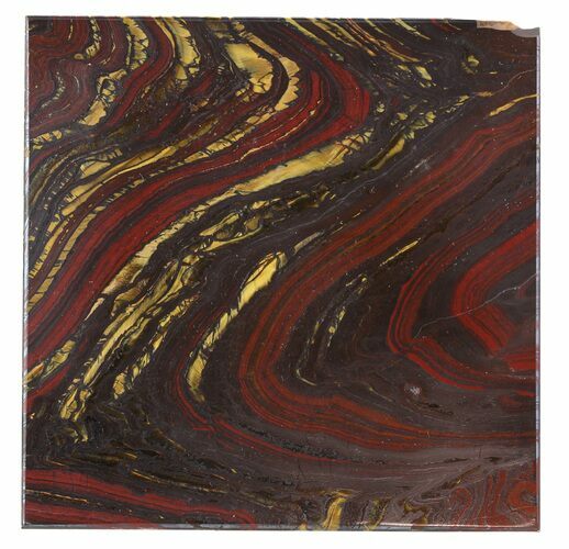 Tiger Iron Stromatolite Shower Tile - Billion Years Old #48814